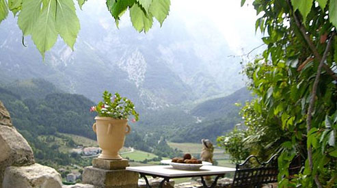 Contact us for more information about our tours